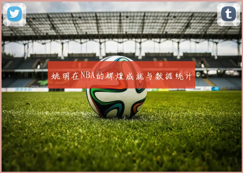 姚明在NBA的辉煌成就与数据统计