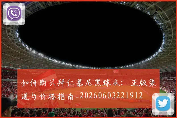 如何购买拜仁慕尼黑球衣:正版渠道与价格指南_20260603221912
