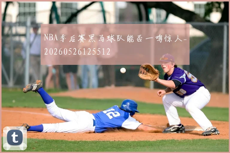 NBA季后赛黑马球队能否一鸣惊人_20260526125512
