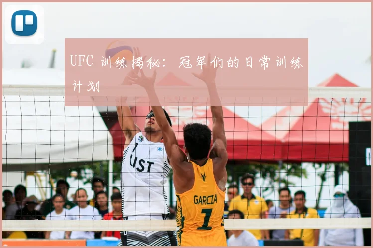 UFC 训练揭秘：冠军们的日常训练计划