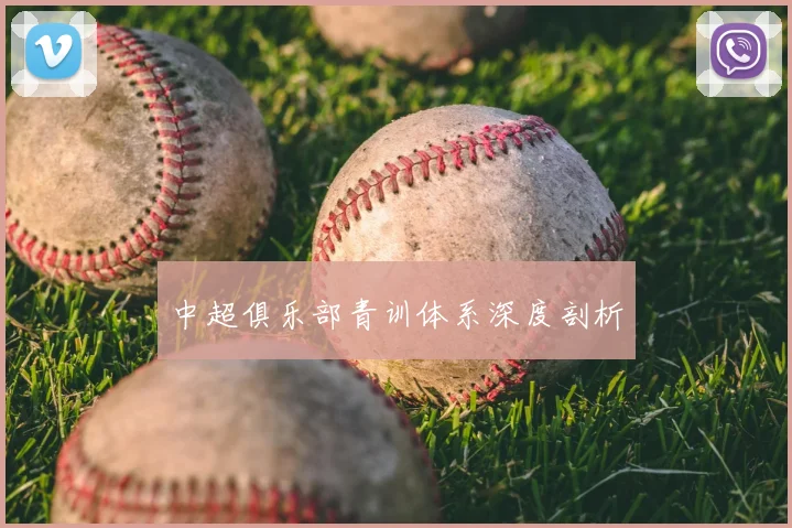 中超俱乐部青训体系深度剖析